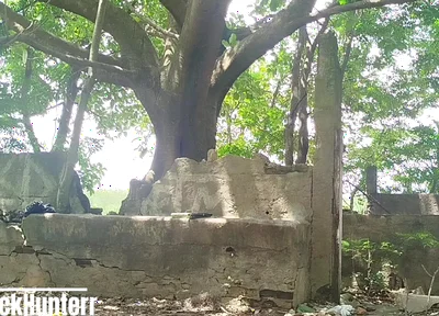 Masturbating in the Park