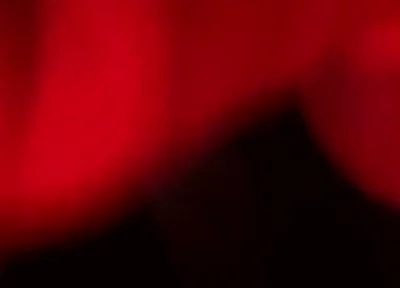 Red Light