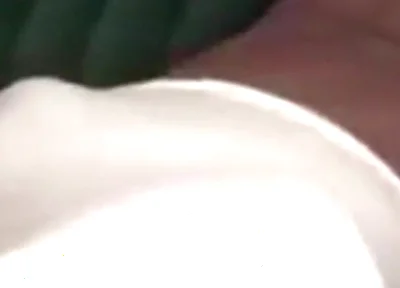 Bouncing my big black dick teasing fan request