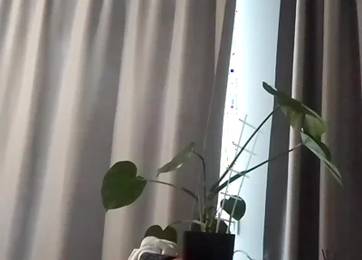 Home Masturbation