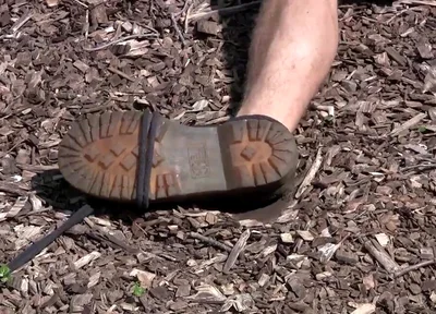 Marshall - Chapter 1