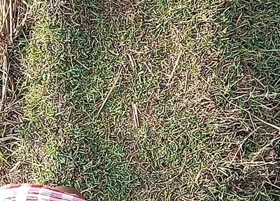 Gay Boy Outdoor Night Pussy Hole Sucking