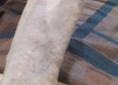 Handsome Boy Masturbation