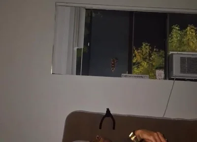 Late Night Dildo & Wank Sesh