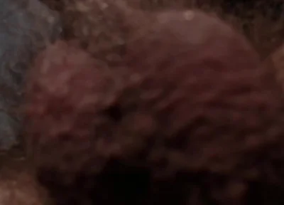 Leather Boss Fucked Your Mouth and Legs Cum (part1)