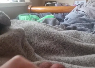 Wanking Big Cock with Tight Ballring