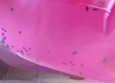 Beautiful inflatable swimrings in my bed