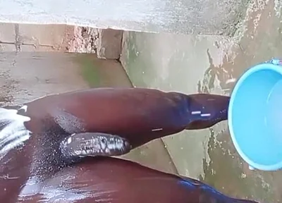 Wow Big Dick Workouts Experience