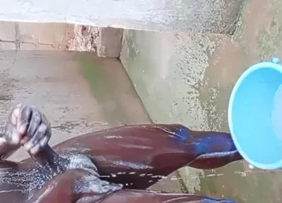 BBC Massage Orgys in Africa