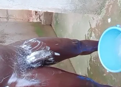 Wow Big Dick Workouts Experience