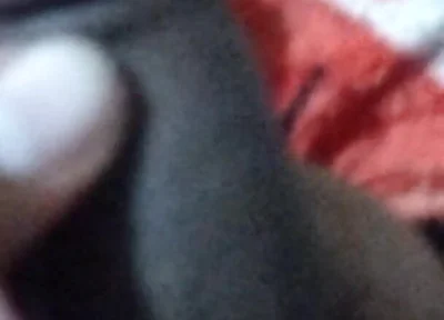 My Cock Video