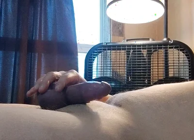 Uses a Toy
