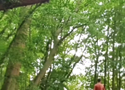 Compilation Outdoor Nudity, Masturbation, Pee & Ass Images