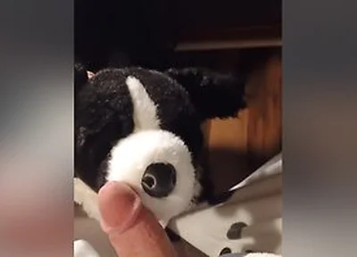 Border Collie Plushie Licks And Makes Onesie Pubby Cum!