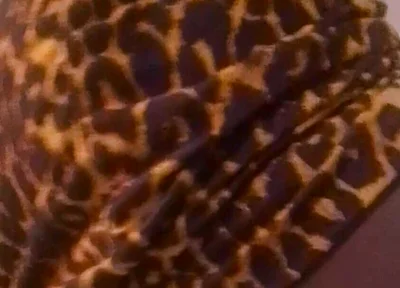 Twerk and Seduce Him Before Fucking