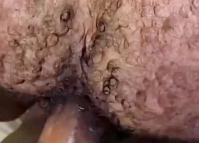 Que Rico Este Culo Peludo Y Tragón