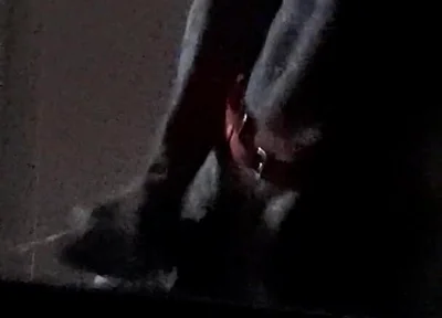Horny Xmas Deer Started Masturbating