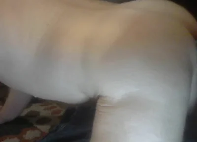 Thrusting Dildo Fucking My Wet Hole