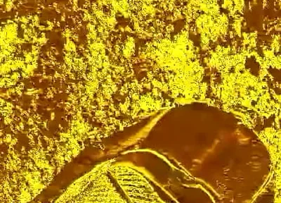 Up & Cuming Video