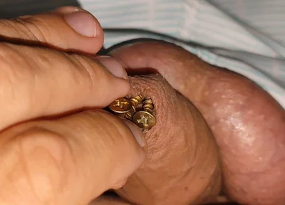 Hammering How Many Screws the Penis Can Hold.