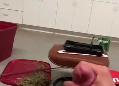 2821668272.mp4