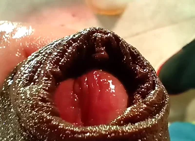 Sexy Colombian Man Urinating and Playing with His Foreskin