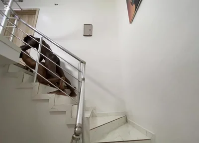 It’s Has Been a While