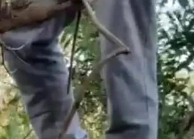 Hot Amateur Boy Sucks and Rims in the Woods