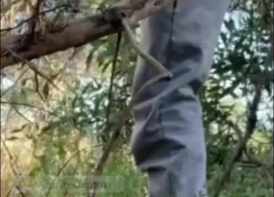 Hot Amateur Boy Sucks and Rims in the Woods