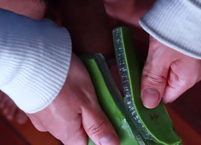 Using Aloe Vera as a Fleshlight