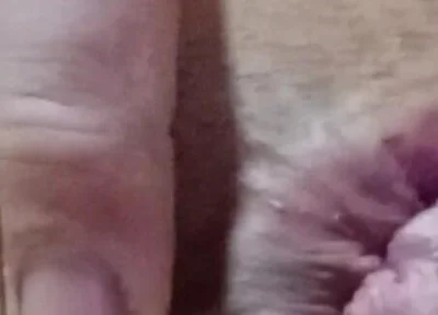 Dildo Xxl Home