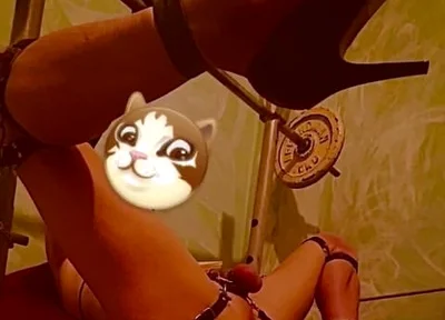 Anal spreader
