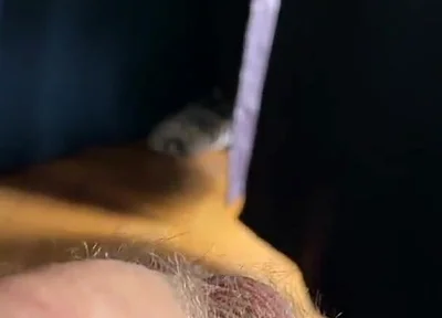 Cum with Tim Blesh