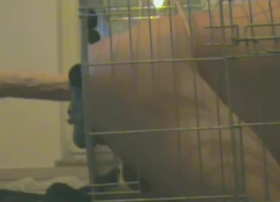 Slave in Cage Gets Anal Used