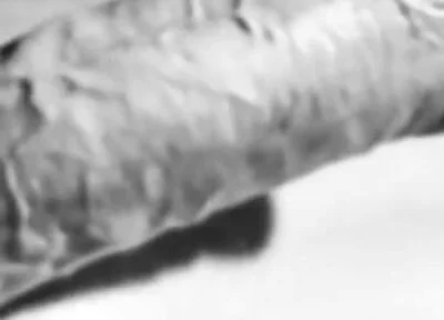 Revealing My Big White Hard Cock