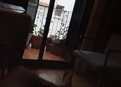Through the Window