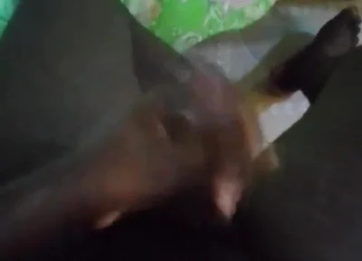 Haydenbbc Video