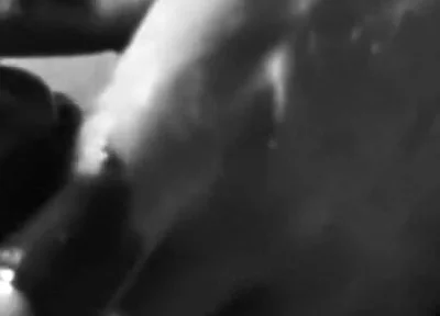 White Cock with Chocolate Syrup