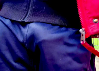 Check Out Just How This One Is Showing Itself up… Shamelessly. and I Am Proud.