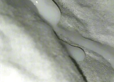 Huge Sperms Out of His Penis, an Young Boy