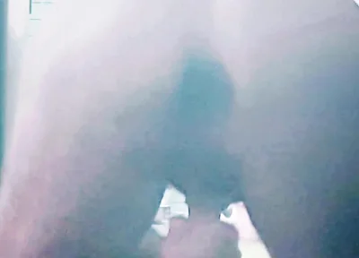 Garden Nudity and Masturbation with a Buttplug in Me