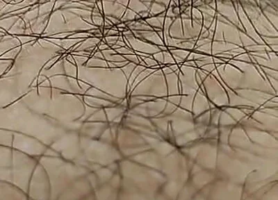 I'm Hairy Boy This My Legs and Dick