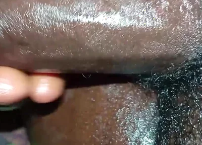 Bullock master of analized