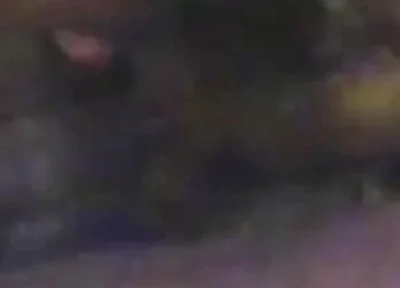 Thought was cowboy, But wrong Branco