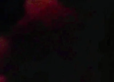 Goon Sucking Uncut Cock at the Park