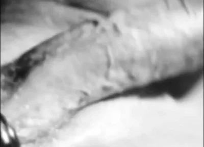 Unleashing My Hard Cock!