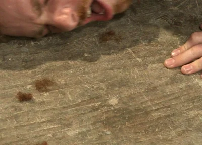 The Official Greeting of the Dom of the House