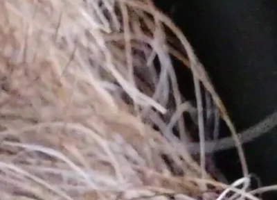 Kissing, Spitting on and Fucking My Stunt Mouth