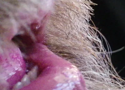 Kissing, Spitting on and Fucking My Stunt Mouth