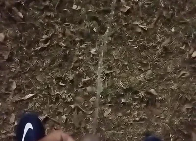 Outdoor Sex, of All Sexualities, Is Now Allowed in My Condominium